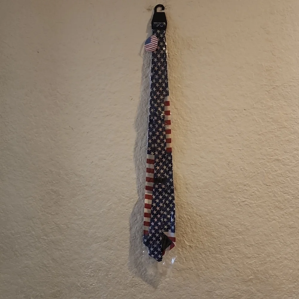 LOT OF 10 AMERICAN FLAG TIES